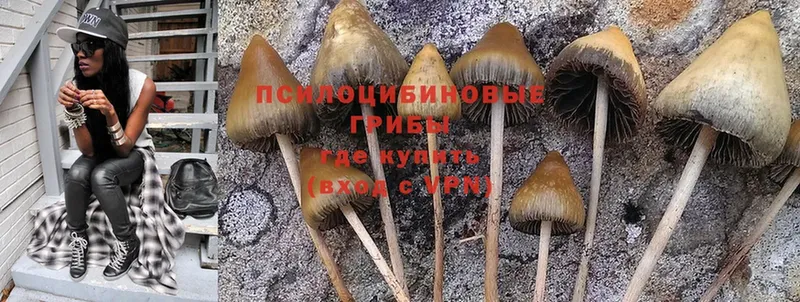 цены наркотик  Клин  мега как войти  Псилоцибиновые грибы Magic Shrooms 